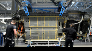 Studie: Deutschlands Top-Unternehmen 2023 insgesamt mit Umsatzr&uuml;ckgang
