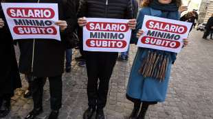 S&igrave; del Senato a delega al governo su salario minimo, &egrave; legge