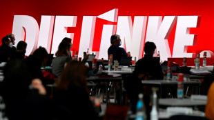 Linke startet dreit&auml;gigen Parteitag in Potsdam