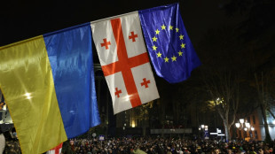 G&eacute;orgie : le gouvernement exclut de nouvelles l&eacute;gislatives malgr&eacute; la crise politique