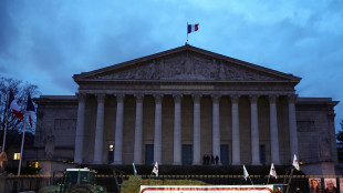 Sindacato Francia, trattori resteranno a Parigi fin quando sar&agrave; necessario