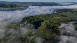 El frente para acabar con las energías fósiles resurge en la COP30