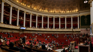 Au terme d'une course contre la montre, les d&eacute;put&eacute;s adoptent la proposition de loi post-B&eacute;tharram
