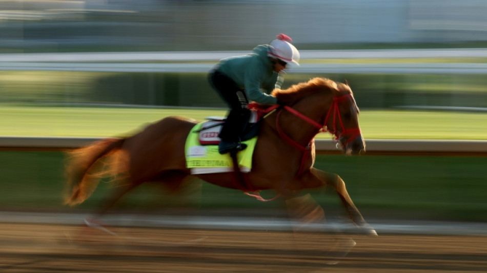 The Puma out of Kentucky Derby, leaving 19 starters