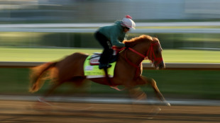 The Puma out of Kentucky Derby, leaving 19 starters