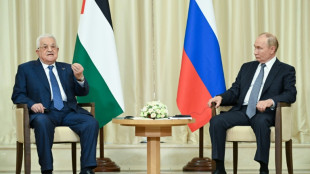 Putin dice al presidente palestino que est&aacute; "preocupado" por las muertes de civiles en Gaza