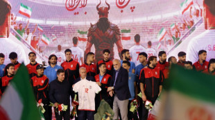Iran to hold pre-World Cup training camp in Turkey: media