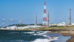 Japon: les autorit&eacute;s locales approuvent le red&eacute;marrage de la plus grande centrale nucl&eacute;aire au monde