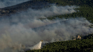Mehr als 12.000 Hektar Land durch Waldbr&auml;nde in Griechenland zerst&ouml;rt