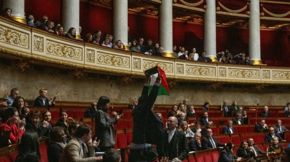 El Parlamento franc&eacute;s sanciona a un diputado por mostrar una bandera palestina
