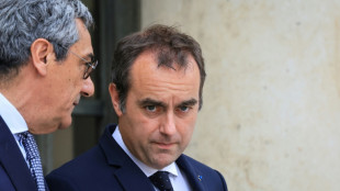 Moyen-Orient: soutenir l'activit&eacute; sans plomber le budget, le casse-t&ecirc;te de Lecornu
