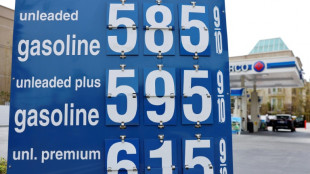 &Uuml;ber vier Dollar pro Gallone: US-Benzinpreise auf h&ouml;chstem Stand seit 2022