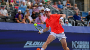 Van de Zandschulp to face Fucsovics in ATP Winston-Salem final