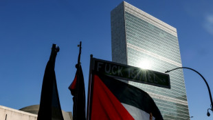 Francia y otros países europeos reconocen en la ONU el Estado palestino