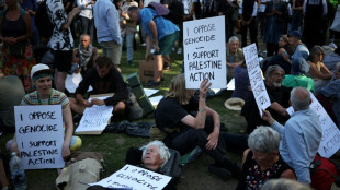 Londoner Polizei: 200 Festnahmen bei Protest für verbotene pro-palästinensische Gruppe
