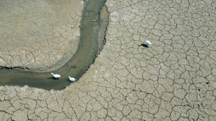 2025 on track to tie second hottest year on record: EU monitor