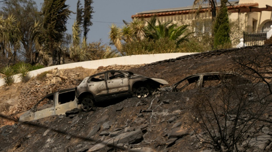 Inc&ecirc;ndio no sul da Espanha tem evolu&ccedil;&atilde;o 'favor&aacute;vel'