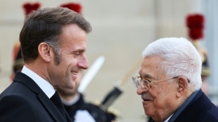 Macron warns any planned West Bank annexation a 'red line'