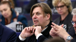 El partido ultraderechista alem&aacute;n AfD aparta a su cabeza de lista de su delegaci&oacute;n de eurodiputados