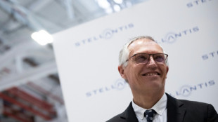 Stellantis &agrave; l'heure du vote sur la r&eacute;mun&eacute;ration controvers&eacute;e de son patron
