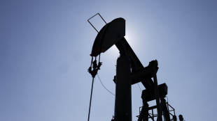 Il petrolio ancora in calo a New York a 77,24 dollari