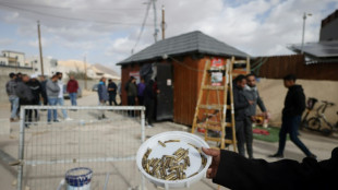 Cinq Palestiniens tu&eacute;s lors d'un raid des forces isra&eacute;liennes &agrave; J&eacute;richo