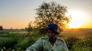 Egyptian farmers behind world's perfumes face climate fight alone