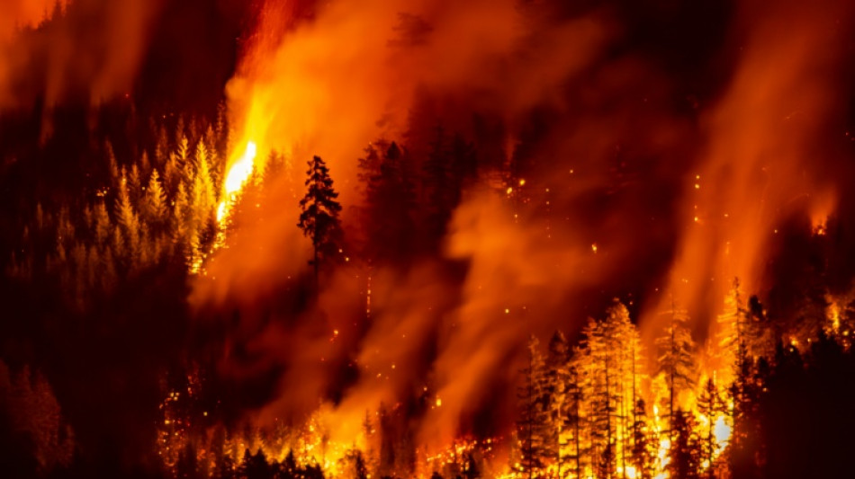 Au Canada, d'inqui&eacute;tants feux de for&ecirc;ts se rapprochent de deux villes
