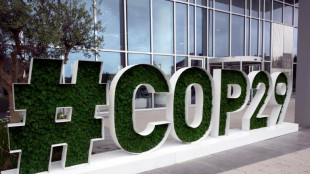 El aumento de la ayuda contra el cambio clim&aacute;tico ser&aacute; la gran batalla de la COP29