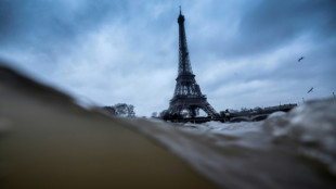 D&eacute;bit et bact&eacute;ries en folie, la Seine pas pr&ecirc;te &agrave; un mois de l'ouverture des JO-2024