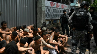 'Cruel' police raids help, not hinder, Rio's criminal gangs: expert
