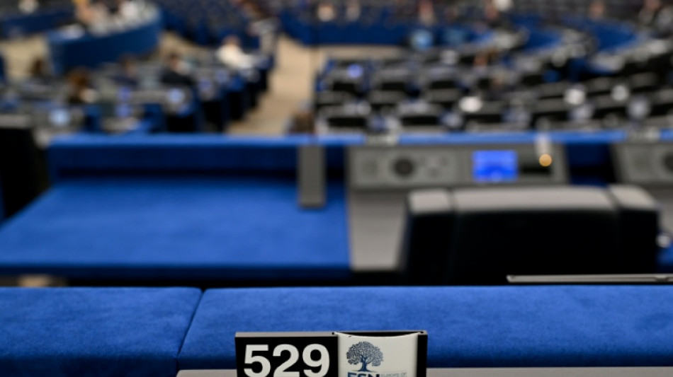 EU-Parlament stimmt &uuml;ber Verfahren gegen EU-Parteienfamilie der AfD ab