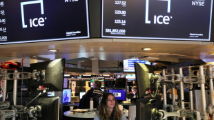 Wall Street tente un rebond alors que le p&eacute;trole chute