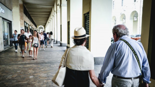 Inapp, in 10 anni esodo 6 milioni pensionati, welfare a rischio