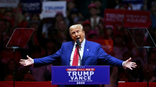 Trump's New York rally attacks Harris, draws criticism 