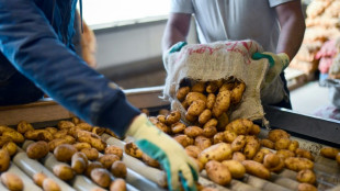 Erzeugerpreise: Landwirte bekommen im Mai deutlich weniger Geld f&uuml;r ihre Produkte