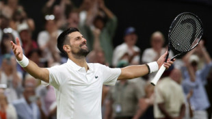 Djokovic faces Sinner showdown, Fery eyes Wimbledon final