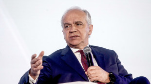 Dipartimento di Ps, 'l'Ice non operer&agrave; in Italia