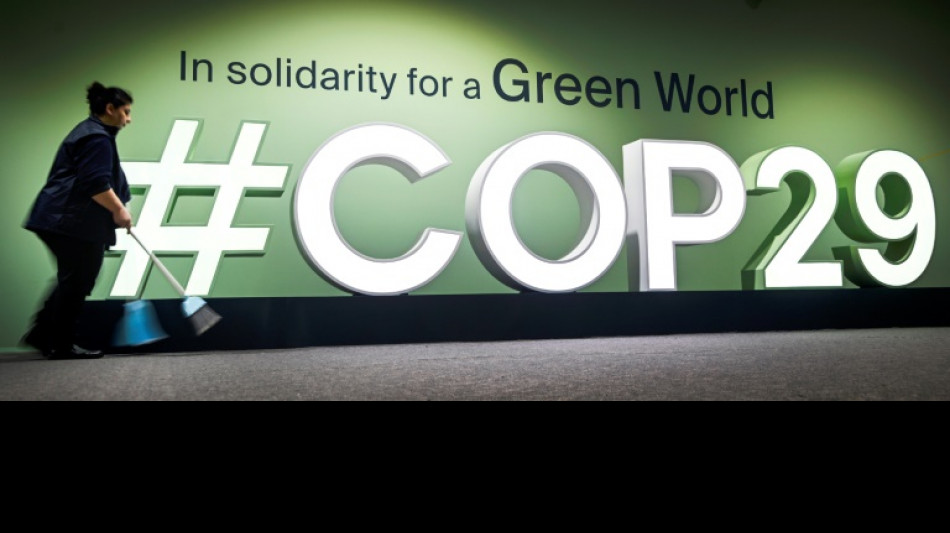 La ONU urge a dejar de hacer "teatro" en las negociaciones clim&aacute;ticas de la COP29