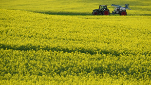 Bericht: &Ouml;zdemir will am Montag auf Bauerndemo in Berlin reden