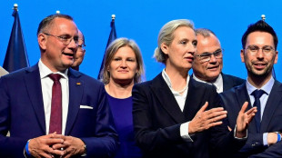 AfD-Parteitag in Erfurt fortgesetzt - Reden von Weidel und Chrupalla