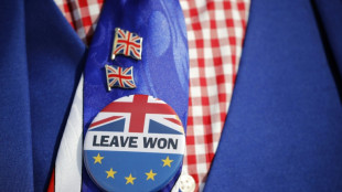 Zehnter Jahrestag des Brexit-Referendums in Gro&szlig;britannien