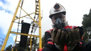 Exportación de carbón en Colombia se desploma mientras Petro prohíbe vender a Israel