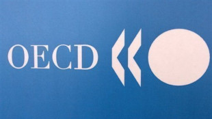 La OCDE espera un acuerdo sobre la imposici&oacute;n de los gigantes del sector digital para fines de a&ntilde;o