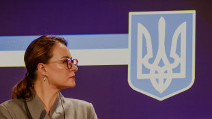 Premier ucraina,far&ograve; un audit su appalti aziende pubbliche