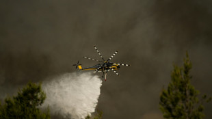 Gr&egrave;ce: reprise du feu pr&egrave;s d'Ath&egrave;nes, les bombardiers d'eau en action