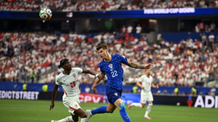 Brighton sign Croatia defender Veskovic for record fee