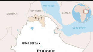 Ethiopie: 10 morts dans deux frappes a&eacute;riennes sur la capitale de la r&eacute;gion rebelle du Tigr&eacute;