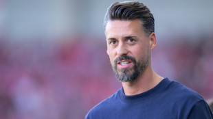 Wagner: "Für den Trainerjob viel, viel besser geeignet"