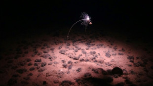 Scientists plan deep-sea expedition to probe 'dark oxygen'